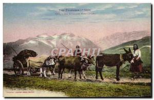Old Postcard Folklore Pyrenees mountain A team LaBeouf Donkey Mule