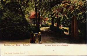 Germany Teutoburger Wald Detmold Krumme Haus im Büchenberg Vintage Postcard C121