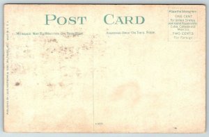 Fleet Day at Old Point  Virginia  Postcard