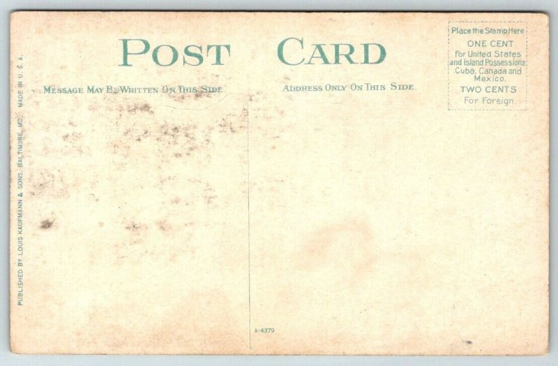 Fleet Day at Old Point  Virginia  Postcard