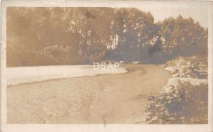 C11/ Bluffton Ohio Postcard Real Photo RPPC 1909 Cows in Creek