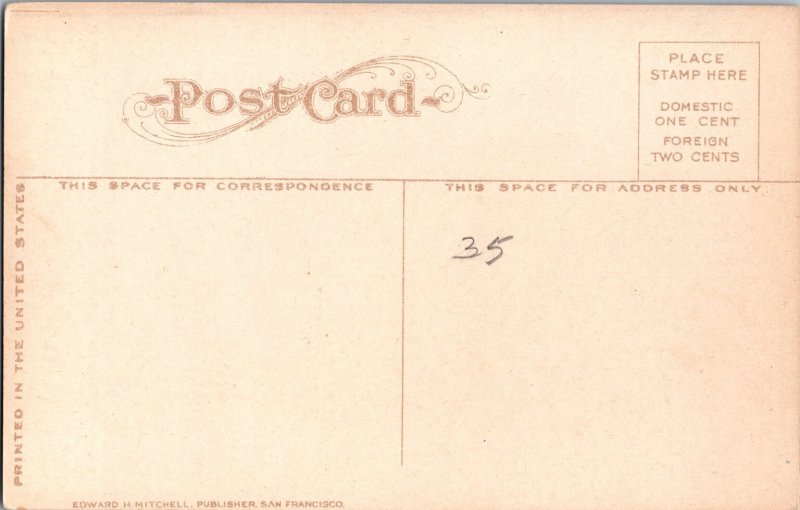 Picking Lemons California Vintage Postcard Edward H Mitchell Divided Back