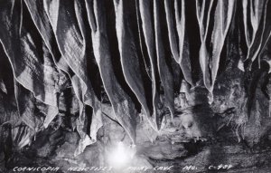 Missouri Fairy Cave Cornicopia Helictites Real Photo