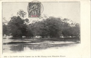 PC LAOS, LA FORÉT NOYÉE OU LE MÉ KONG AUX HAUTES, Vintage Postcard (b44706)