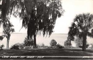 Mt Dora Florida Lake Waterfront Real Photo Antique Postcard K73111 