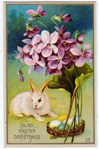 Easter - Bunny and Flowers