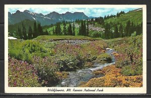 Washington - Wildflowers - Mt Rainier National Park - [WA-065]