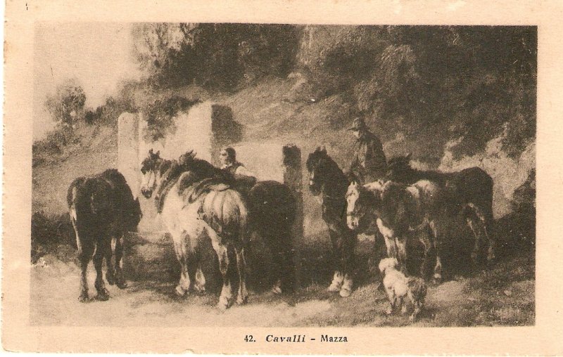 Mazza.Cavalli.Horses Nice vintage Italian postcard