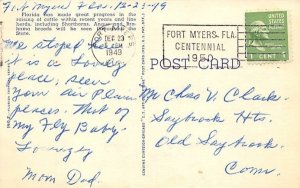 Brahman Bull in Florida Pastures  