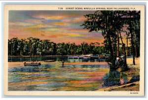 1939 Sunset Scene Wakulla Springs Capital City Tallahassee Florida FL Postcard