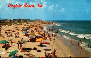 Virginia Virginia Beach Sunbathers Along The Beach 1962