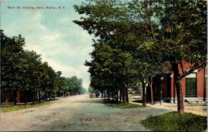 Postcard NY Chautauqua County Ripley Main Street Looking West ~1910 B2
