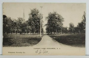 Elizabeth NJ Jackson Park udb Early View Postcard O8