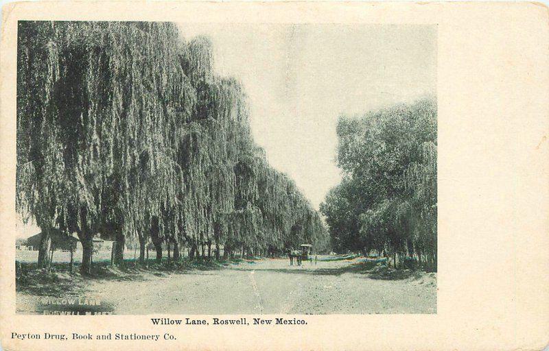 C-1905 Willow Lane Roswell New Mexico Peyton Drug Postcard undivided 13475