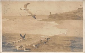 J7/ La Jolla California Postcard RPPC c1910 Ocean Shore Seagulls  108