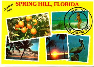 Greetings From Spring Hill Florida With Multi Views