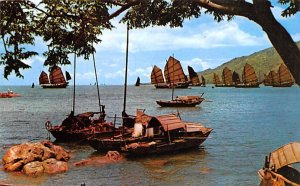 Large fishing junks, Castle Peak Bay New Territories Hong Kong Writing on back 