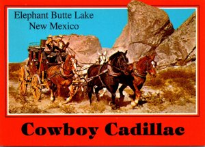 New Mexico Eleohant Butte Lake Cowbay Cadillac Old Stagecoach