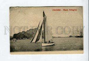 3155861 ITALY PALERMO Monte Pelegrino Vintage postcard