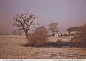 Winter Scene at Heydon Cambridge Village Womens Institute Postcard