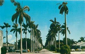 DELRAY FLORIDA FL ROYAL PALMS LINE SEA BREEZE AVENUE~E ATLANTIC POSTCARD 1970s