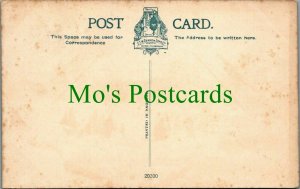 Wales Postcard - Tenby From Castle Hill      RS25923