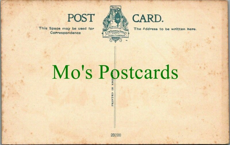 Wales Postcard - Tenby From Castle Hill      RS25923