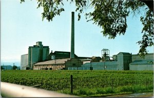 Postcard MT Sidney Holly Sugar Factory Chimney EXTREMELY RARE 1970s K54