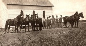 RPPC Real Photo Postcard - Farmers with Horse Team   5 x 3