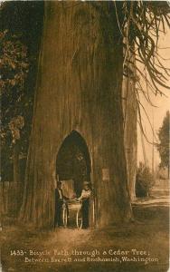 Bicycle Path Cedar Tree C-1910 EVERETT SNOHOMISH WASHINGTON Mitchell 3714