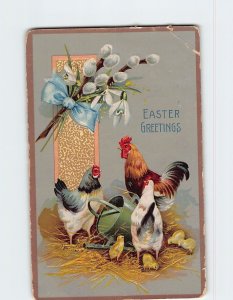 Postcard Chickens & Chicks Easter Greetings Embossed Card