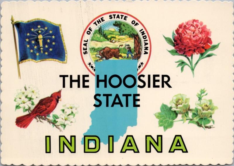 Indiana IN The Hoosier State Seal Cardinal Peony Multiview Vintage Postcard D53