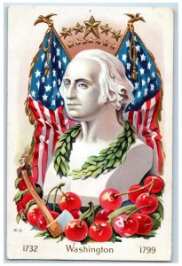 1911 George Washington Hatched Berries Flags Embossed Wilmington DE Postcard 