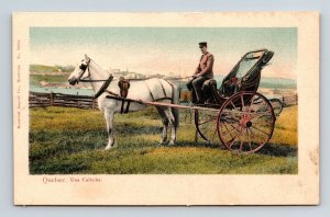 Quebec Canada Scenic Countryside Landscape Horse Carriage UDB Postcard