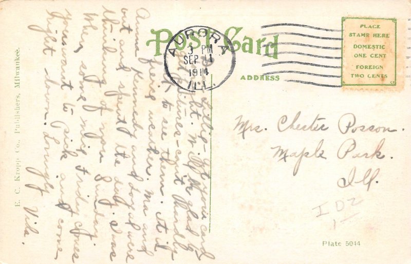 Fox River Park Aurora Illinois 1914 postcard