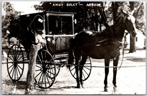 Arthur Illinois IL, Amish Horse & Buggy, Traditional Old Transportation Postcard