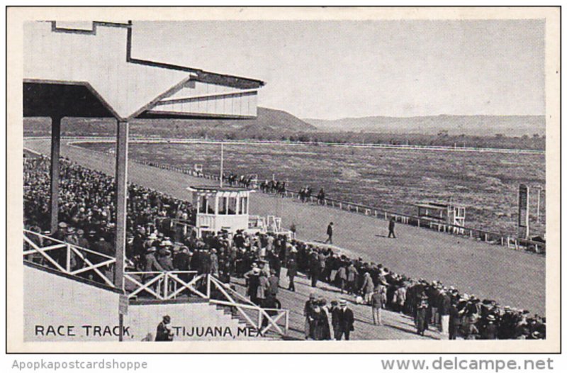 Horse Racing Race Track Tijuana Mexico