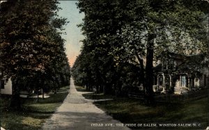 Winston-Salem North Carolina NC Cedar Avenue c1910 Vintage Postcard