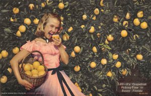 It's great fruit picking time in sunny Florida It's great fruit picking time ...