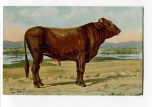 270024 RUSSIAN BUNGART Red Bull Vintage BAGGOVUT postcard