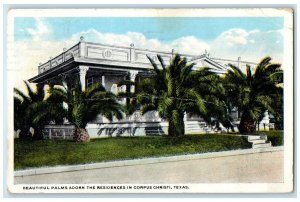1923 Beautiful Palms Adorn The Residence in Corpus Christi Texas TE Postcard