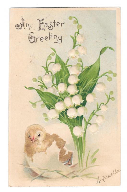 Easter Greeting Chick Lily of the Valley 1907 Embossed B W Germany UDB Postcard