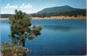 Luna Lake New Mexico postcard