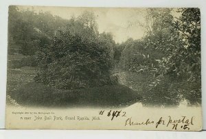 Grand Rapids Michigan John Ball Park 1908 udb Postcard J3