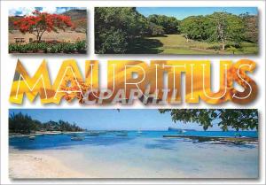 Postcard Modern Mauritius Typical Landscape