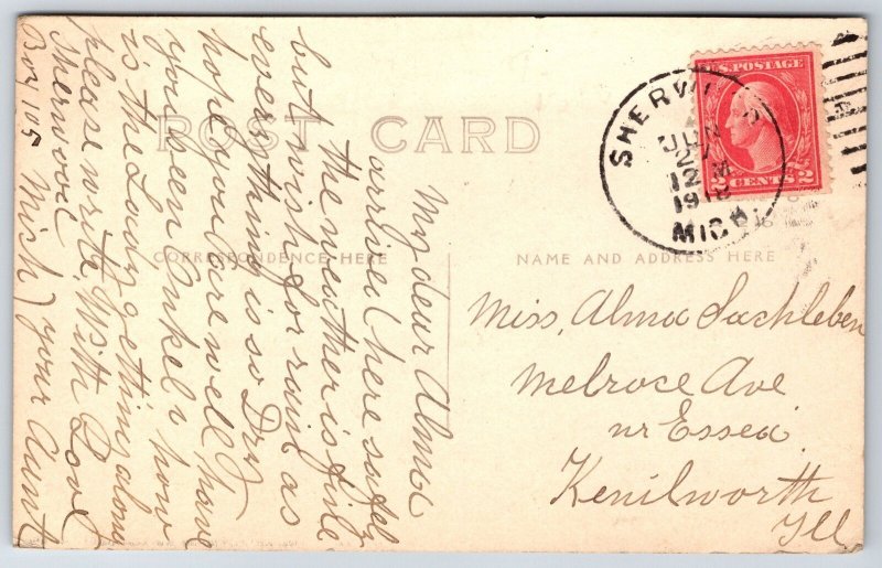 Sherwood Michigan~Main Street Victorian Home~Storefronts~Horse Buggy~1918 RPPC