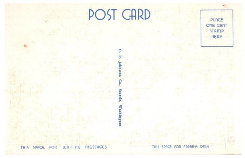 Rhododendrons Washington State Flower Flowers Postcard