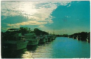 Tranquil Florida Waterway, Vintage 1983 Chrome Postcard