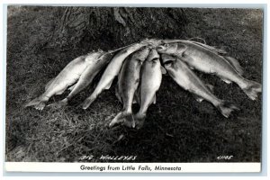 Greetings From Little Falls Minnesota MN Big Walleyes RPPC Photo Postcard