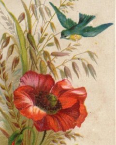 1880s Hughes' Tonic Quack Medicine Iler & Morris Shreveport, LA Red Flower #7K